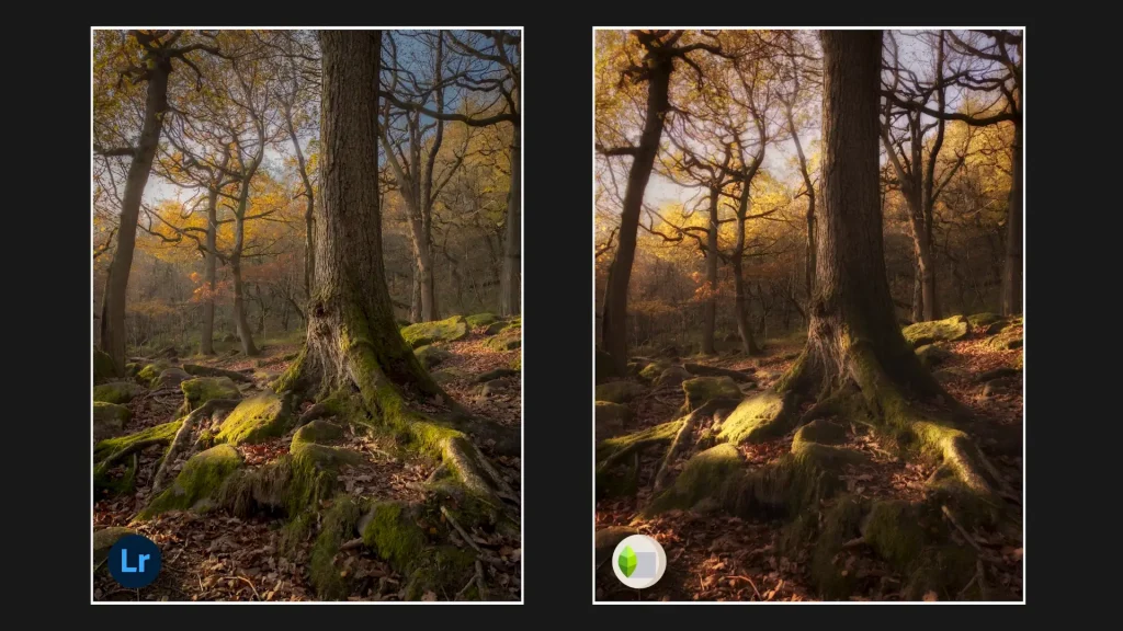 Lightroom vs Snapseed image edit results