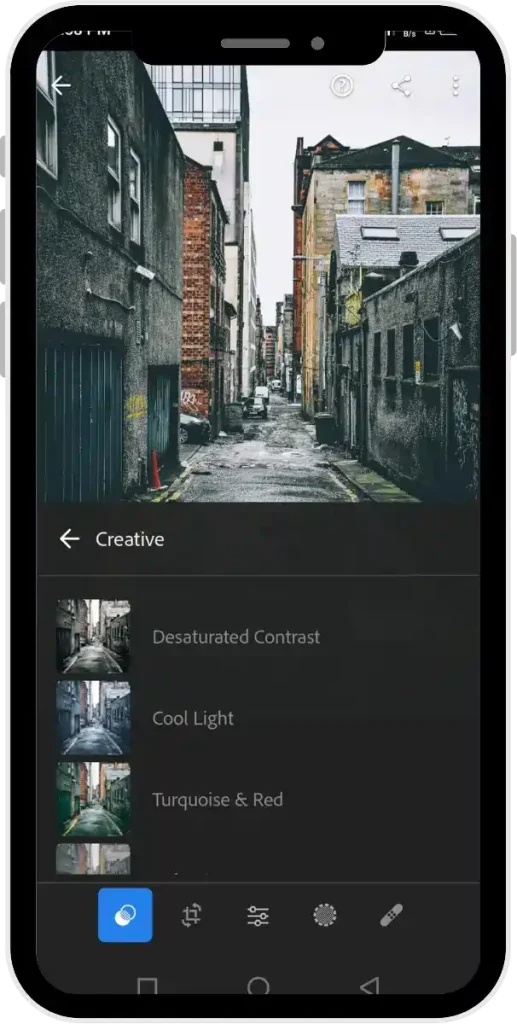 Lightroom mod APK Screenshot(5)