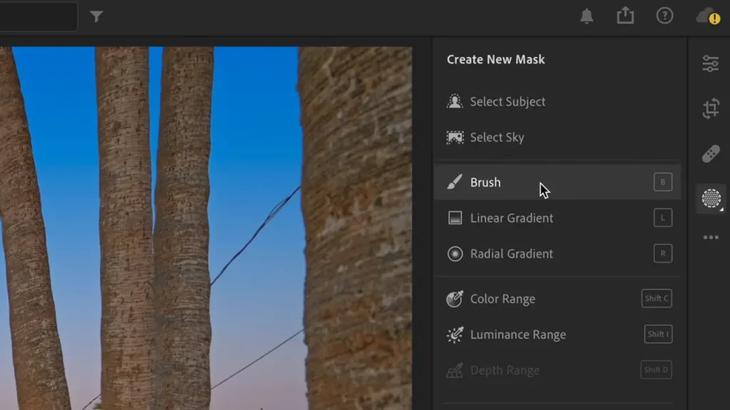 Lightroom Brush tool