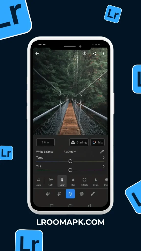 Lightroom mod APK Screenshot(1)