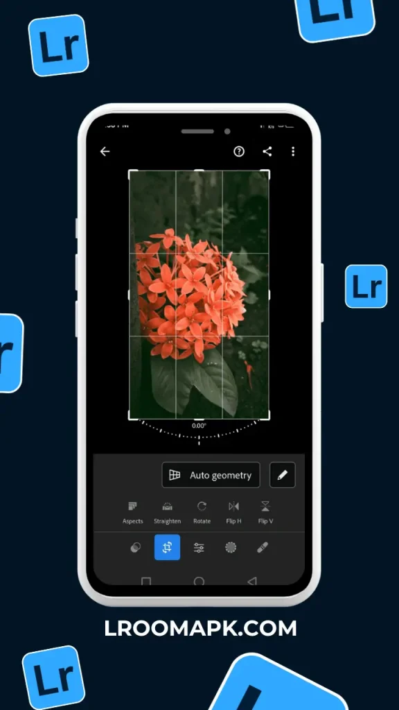 Lightroom mod APK Screenshot(2)